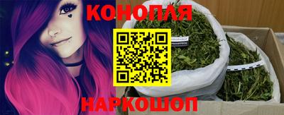 индика Нальчик
