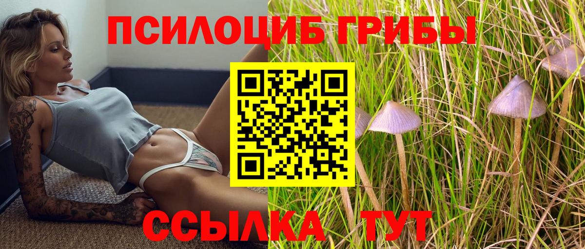 Горячий Ключ  где купить наркоту  Вход с VPN  Галлюциногенные грибы GOLDEN TEACHER 