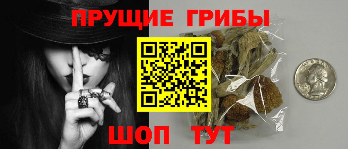 Галлюциногенные грибы Psilocybine cubensis Горячий Ключ